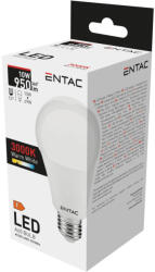Entac LED izzó Globe E27 10W WW 3000K 5999097900049 (LLG27-10W-WW)