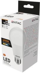 Entac LED izzó Globe E27 8W NW 4000K 5999097977683 (LLG27-8W-NW)