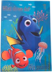 Licenta Coperta carte Dory
