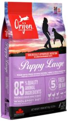 ORIJEN Puppy Large-11, 4 kg