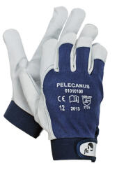 CERVA PELECANUS kesztyű - 9 (0101010099090)