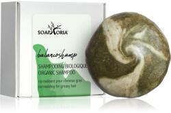 SOAPHORIA Hair Care Solid Shampoo șampon organic solid pentru par gras 60 g