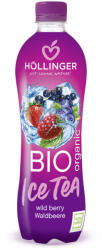 Höllinger bio erdei gyümölcsös ice tea 500 ml - vegyesbolt