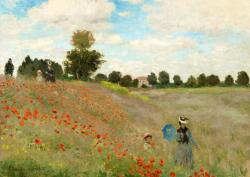Enjoy - Puzzle Claude Monet: Câmpul de mac - 1 000 piese