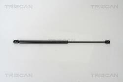 TRISCAN Amortizor capota TRISCAN 8710 24105 (8710 24105) - fixbox