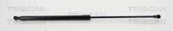 TRISCAN Amortizor capota TRISCAN 8710 25108 (8710 25108) - fixbox