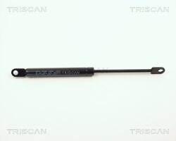 TRISCAN Amortizor capota TRISCAN 8710 1101 (8710 1101) - fixbox
