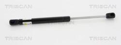TRISCAN Amortizor capota TRISCAN 8710 17102 (8710 17102) - fixbox