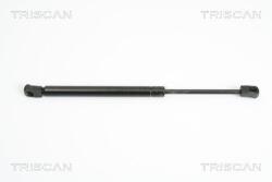 TRISCAN Amortizor capota TRISCAN 8710 12104 (8710 12104) - fixbox