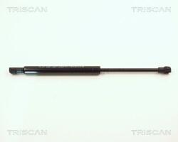TRISCAN Amortizor capota TRISCAN 8710 11107 (8710 11107) - fixbox