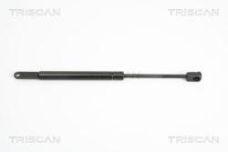 TRISCAN Amortizor capota TRISCAN 8710 11108 (8710 11108) - fixbox