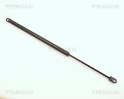 TRISCAN Amortizor capota TRISCAN 8710 1102 (8710 1102) - fixbox