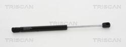 TRISCAN Amortizor capota TRISCAN 8710 17104 (8710 17104) - fixbox