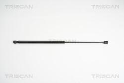 TRISCAN Amortizor capota TRISCAN 8710 12105 (8710 12105) - fixbox