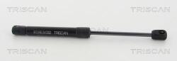 TRISCAN Amortizor capota TRISCAN 8710 11132 (8710 11132) - fixbox