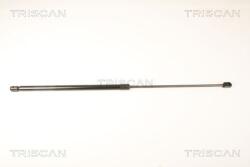 TRISCAN Amortizor capota TRISCAN 8710 24106 (8710 24106) - fixbox