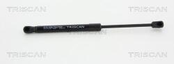TRISCAN Amortizor capota TRISCAN 8710 29134 (8710 29134) - fixbox