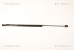 TRISCAN Amortizor capota TRISCAN 8710 23112 (8710 23112) - fixbox