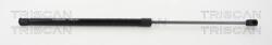 TRISCAN Amortizor capota TRISCAN 8710 25110 (8710 25110) - fixbox
