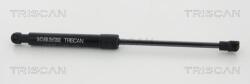 TRISCAN Amortizor capota TRISCAN 8710 24109 (8710 24109) - fixbox