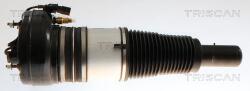 TRISCAN Amortizor capota TRISCAN 8710 29105 (8710 29105) - fixbox