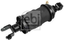 Febi Bilstein Amortizor, suspensie cabina FEBI BILSTEIN 170524 (170524) - fixbox
