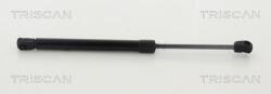 TRISCAN Amortizor capota TRISCAN 8710 43104 (8710 43104) - fixbox
