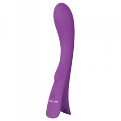  Vibrator Elys Mov Vibrator