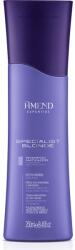  Șampon pentru păr blond, pentru neutralizarea tonurilor de galben și portocaliu Amend Specialist Blonde Neutralizing Shampoo, 250 ml