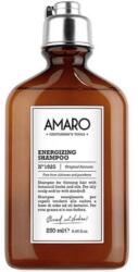  Sampon energizant anti-matreata pentru scalp sensibil Farmavita Amaro Energizing Shampoo , 250 ml