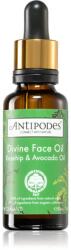 Antipodes Divine Face Oil Rosehip & Avocado Oil защитен серум против първите признаци на стареене на кожата 30ml