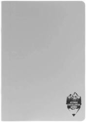 DACO Caiet A4 Daco CT410DR, 100 file, 70 g/m, dictando, coperta plastic, Gri (CT410DR/GRI)
