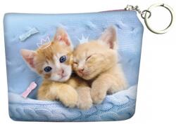 Derform Portofel Derform Cleo&Frank - Cu pisici, albastru (PORCF25)