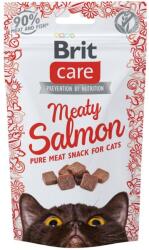 Brit Brit Care Cat Snack Meaty Salmon 50 g