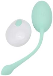 Tabooboo Baga-ma Inapoi in Pat Ou Vibrator din Silicon cu Telecomanda 10 Functii de Vibratie