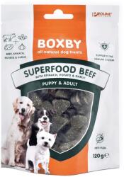 Scholtus Superfood Beef 120g - dogshop
