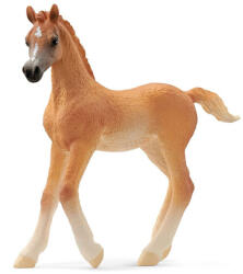 Schleich Schleich: Figurina mânz arab (13984) (SLH13984) Figurina