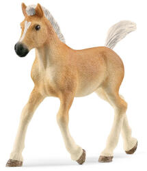 Schleich Schleich: Figurina mânz Haflinger (13951) (SLH13951) Figurina