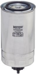 Hengst Filter Filtru combustibil HENGST FILTER H70WK09 (H70WK09) - fixbox