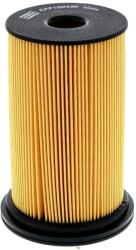 CHAMPION Filtru combustibil CHAMPION CFF100430 (CFF100430) - fixbox