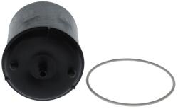Bosch Filtru ulei BOSCH F 026 407 119 (F 026 407 119) - fixbox