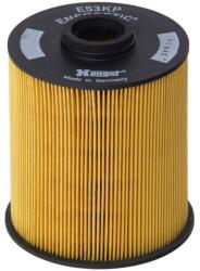 Hengst Filter Filtru combustibil HENGST FILTER E53KP D61 (E53KP D61) - fixbox