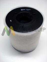 MOTAQUIP Filtru aer MOTAQUIP LVFA1434 (LVFA1434) - fixbox