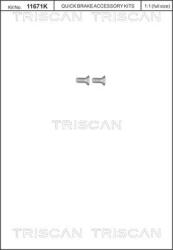 TRISCAN Set surub, disc frana TRISCAN 8105 116012 (8105 116012)