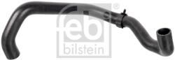 Febi Bilstein Furtun radiator FEBI BILSTEIN 174416