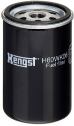 Hengst Filter Filtru combustibil HENGST FILTER H60WK06 (H60WK06) - fixbox