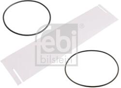 Febi Bilstein Filtru ulei FEBI BILSTEIN 176276 (176276) - fixbox