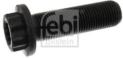Febi Bilstein Surub fulie FEBI BILSTEIN 23042 - fixbox