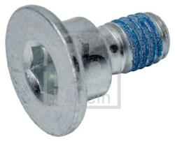 Febi Bilstein Surub, disc frana FEBI BILSTEIN 05560 (05560) - fixbox