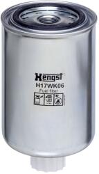 Hengst Filter Filtru combustibil HENGST FILTER H17WK06 (H17WK06) - fixbox